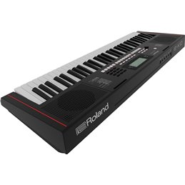 Roland E-X10 Keyboard