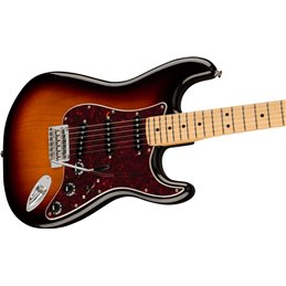 Fender Player Stratocaster MN 3TS Tort Limited Edition