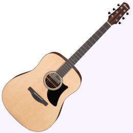 Ibanez AAD50-LG Gitara Akustyczna