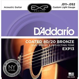 D'Addario EXP13 NY /11-52/